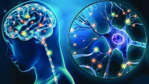 qué es la neuromodulación NESA
